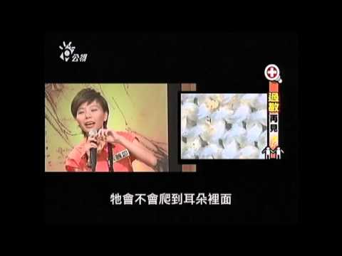 如何選購防蟎保潔墊?過敏兒的頭號殺手,塵蟎