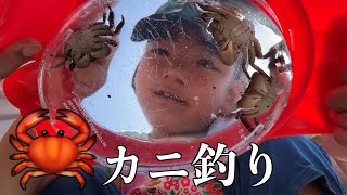 🦀 カニ釣り 🎣