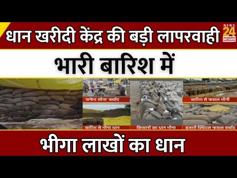 CG Breaking News LIVE: धान खरीदी केंद्र की बड़ी लापरवाही, भारी बारिश में भीगा लाखों का धान | Latest