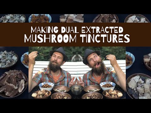 Making Dual Extracted Mushroom Tinctures