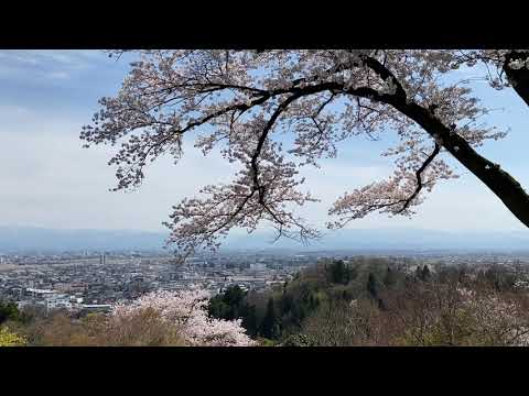 Hidden Japan    55    令和2年春の富山市　　Spring in Toyama 2020