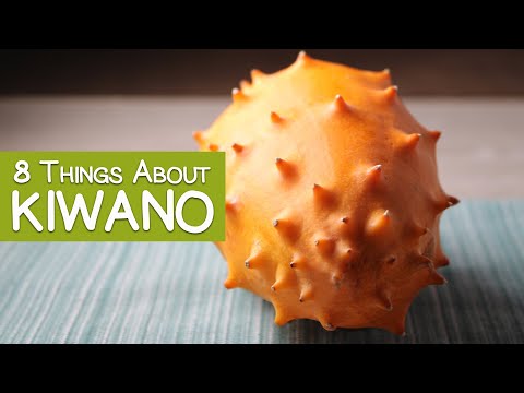 Kiwano Melon | African Horned Melon Taste Test