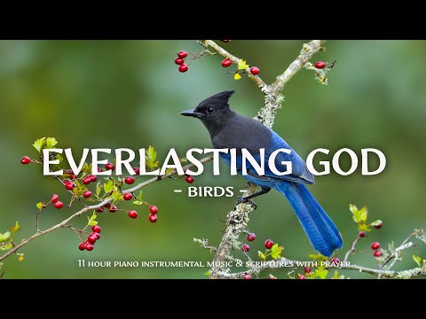 Everlasting God : Instrumental Worship and Scriptures with Birds 🕊 Christian Instrumental