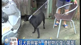 遭動物咬傷心驚 362人打狂犬疫苗