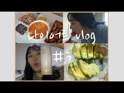 다이어트 vlogㅣ목표 -40kgㅣ고도비만 직장인 다이어터ㅣ평일식단&주말식단ㅣ3주간 다이어트 기록 #3 (빵빵부인의 다이어트)