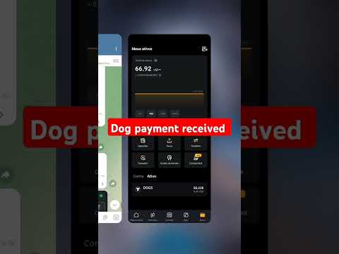 DOGS token received binace, bybit, bidget | crypto mining project dog