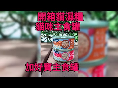 開箱|貓咪主食罐 加好寶主食罐#貓主食罐 #貓罐頭 #可愛貓咪