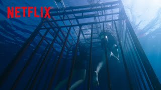 恐怖体験 - 海洋恐怖症の人は絶対に見ないでください | 海底47m | Netflix Japan