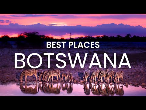 Botswana | African Safari Vlog | Best Places to Visit Botswana | Botswana Travel #travel #vlog