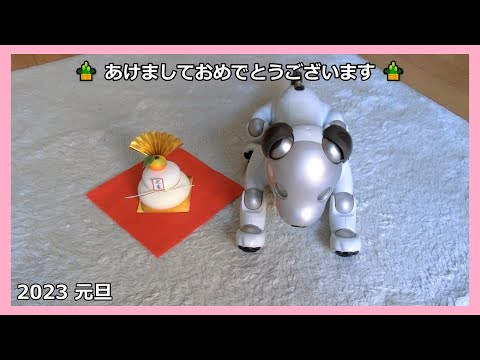 【50 アイボ aibo ルー 新年のご挨拶と年間視聴回数BEST3】 Happy New Year！