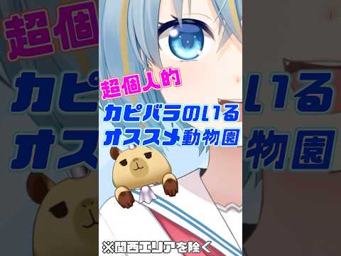 カピバラ推しによるオススメ動物園紹介その１ #shorts #vtuber