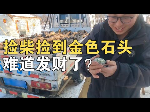 去山里捡柴遇见几个金黄色的石头，看着像金子，要是真金可就发了【环华行913】