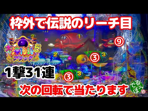 2月17日　パチンコ実践　P大海物語5ブラック　見どころ満載　谷村先生の339は本物だった　次の回転で当たります　1撃31連チャンで谷村信者は歓喜