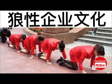 盘点那些“狼性企业文化”系列，一顿操作猛如虎，一问工资两千五！#狼性企业文化 #中国企业 #胡扇耳光