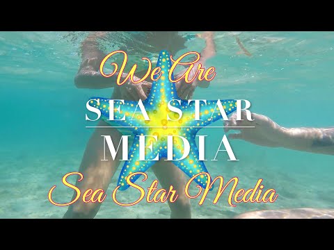 We Are Sea Star Media