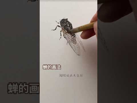 蝉的画法演示How to draw a cicada ，Cicada drawing tutorial#水墨画 #watercolorpainting #中国画  #art #shorts