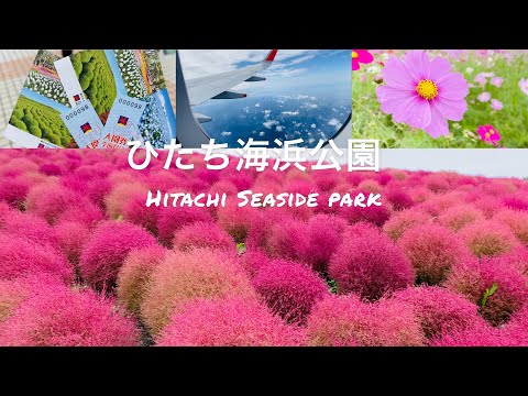 ひたち海浜公園 | Hitachi Seaside Park | හිතචි උද්‍යානය  | Ibaraki  | TRAVEL With Fashion | Japan 🌿🌸