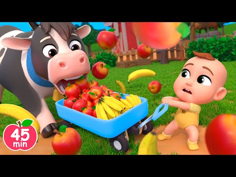 Apples and Bananas | Feeding Animals Song +MORE Lalafun Nursery Rhymes & Kids Songs