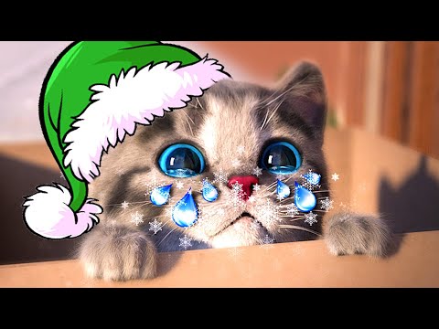 Animated Little Kitten Cute Kitty Cat MEOW STORY | Little Cat Cartoon Animation for Kids ⭐❄️🎅🐱