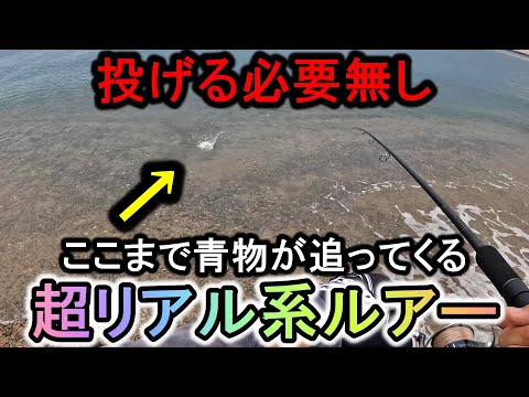 水深15cmの足元まで青物が喰いに来る…本物のベイト激似ルアーが爆釣でヤバい【サーフ】