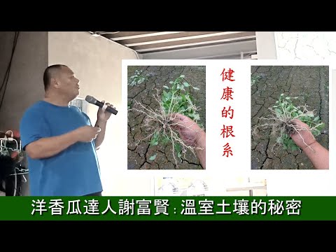 洋香瓜達人謝富賢溫室土壤的秘密