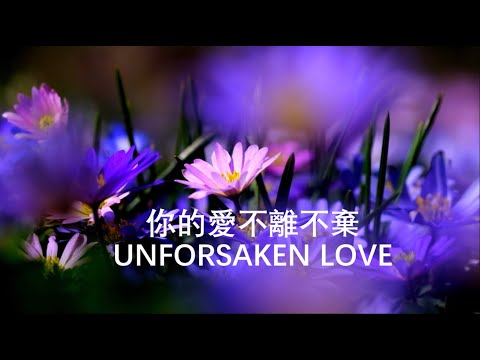 【你的愛不離不棄】 小提琴感動版 You'll Never Leave Me nor Forsake Me / Violin Cover by Shang Quan