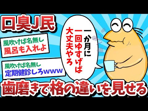 【悲報】口臭J民、歯磨きで格の違いを見せてしまうｗｗｗ【2ch面白いスレ】【ゆっくり解説】