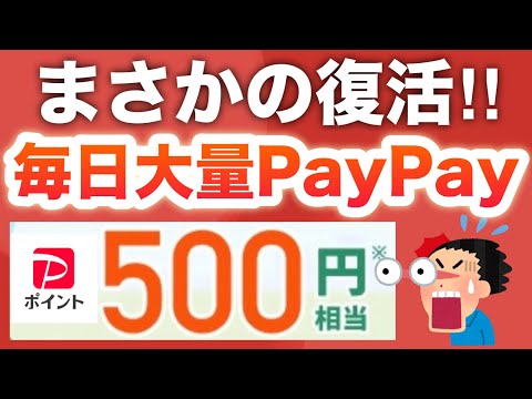 嘘だろ…今日からPayPayポイントこんなに貰える‼︎