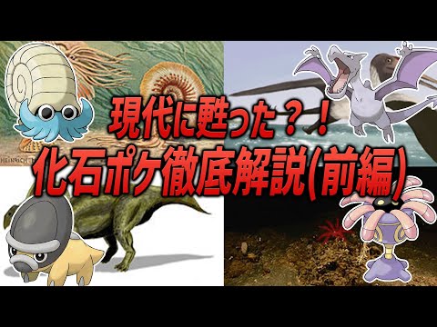 【ポケモン】現代に甦ったポケモン！？歴代化石ポケモンたちを徹底解説！！（前編）