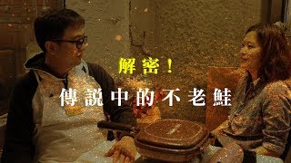 什麼是不老鮭(國王鮭)？