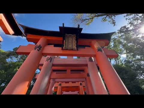 Fushimi Inari Taisha - Kyoto By Phuot KCT