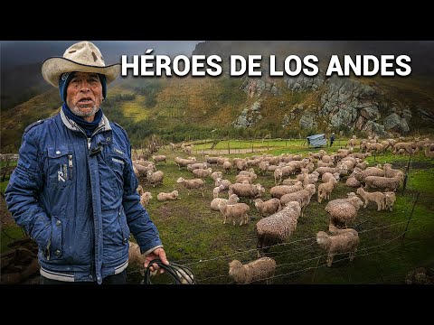 THE LIFE OF THE ANDEAN MAN AND HIS ANIMALS in one of the highest communities in the world: Pasco 1