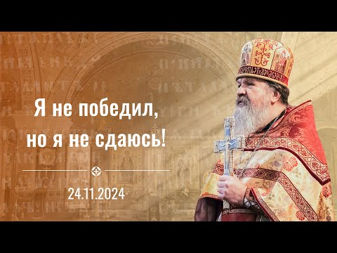 "Я не победил, но я не сдаюсь". Воскресная проповедь о. Андрея Лемешонка 24 ноября 2024 г.