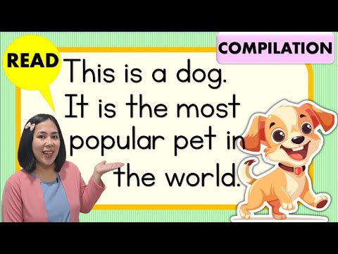 Reading Comprehension - Compilation | Let's Read | Practice Reading | Reading Lesson for Kids