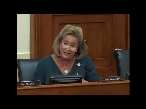 Wagner Questions Secretary Pompeo on Iran