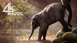 Nature rithmic relax4K UHD   Relaxing Music Along With Beautiful Nature Videos   4K Video HD