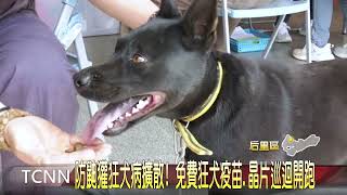 防鼬獾狂犬病擴散！免費狂犬疫苗 晶片巡迴開跑-大台中新聞