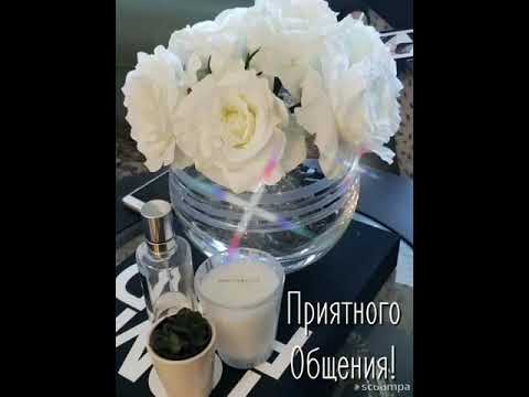 Доброго вечера 💙Хорошего настроения 💜