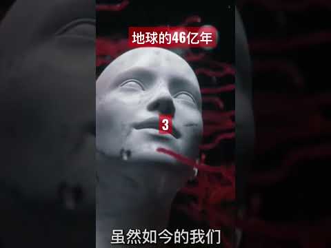 地球46亿年历史压缩成一天24小时，地球上都发生过什么？人类又会在何时登场？（3）