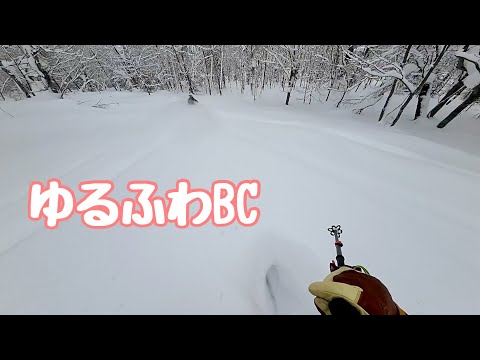 ゆるふわBCガイドツアーでパウダースキー　バックカントリー　山スキー　2024