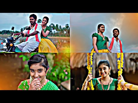 #Selayeru Paduthunte🥰 folk song Whatsapp status new trending video | Love song 💝 | Naveen edits