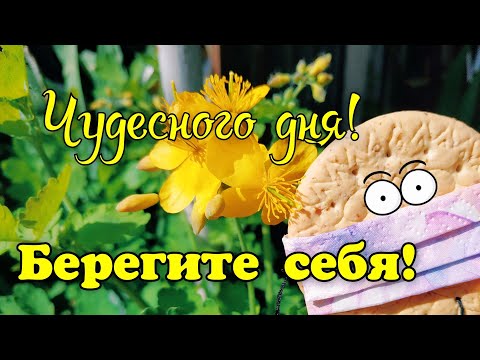 Хорошего дня! Берегите себя!🤗