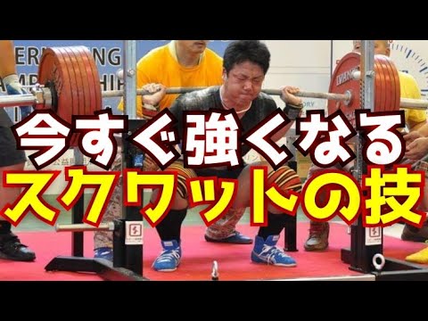 スクワットが直ぐ強くなる簡単テクニック/そして自己ベスト270kgに挑戦するぞ!!/パワーリフティング