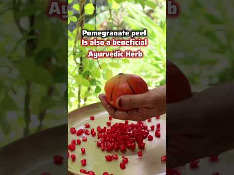 Episode-109 of Vedic Recipes (अनार फल का छिलका) Pomegranate peel Remedy Ayurveda #shorts