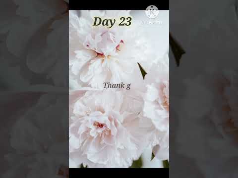 The Secret Daily Teachings Day 23| #thesecret #day23 #viral #lawofattraction