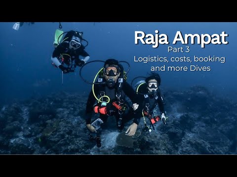 Raja Ampat: Cost, Logistics, Booking and more Dive footage ➡️ [Part 3 - Raja Ampat]