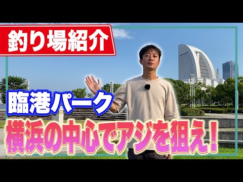 【臨港パーク】みなとみらいでアジやイワシは簡単に釣れる！