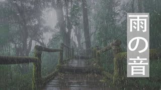 【雨の音 。自然音BGM 】霧の森で大雨と雷 - 寝るBGM、リラックスBGM、癒し BGM、雨の音 BGM、睡眠、雨、眠り