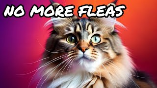 Get Ready for a Flea-Free Cat Life with This Simple Trick!