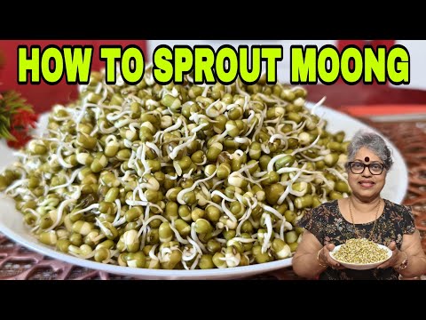 How to sprout Moong| green gram| Nutritious diet friendly| vegan|